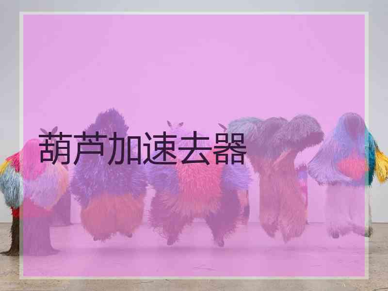 葫芦加速去器
