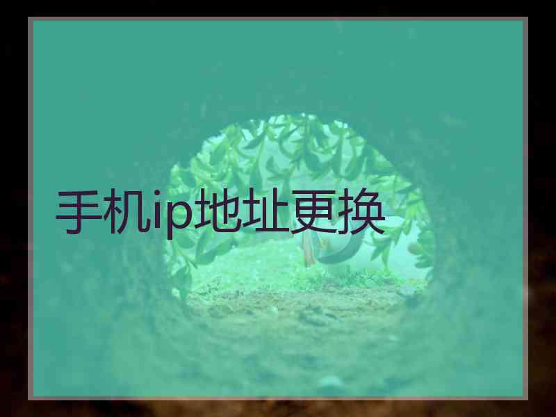 手机ip地址更换