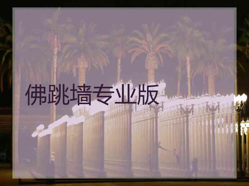 佛跳墙专业版