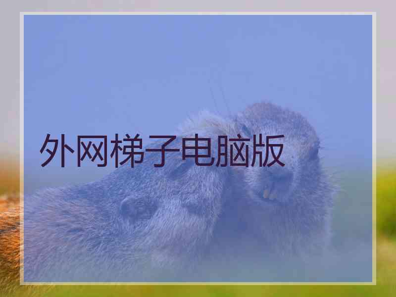 外网梯子电脑版