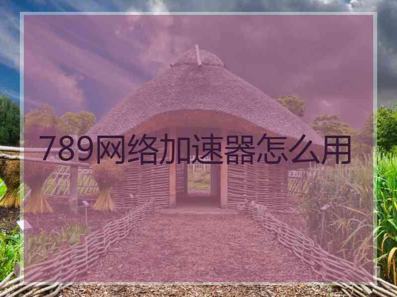 789网络加速器怎么用