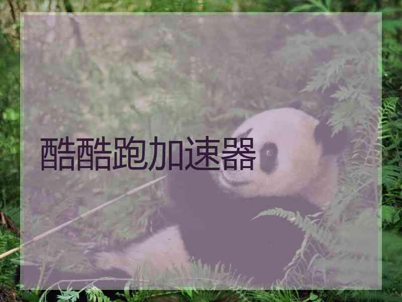酷酷跑加速器