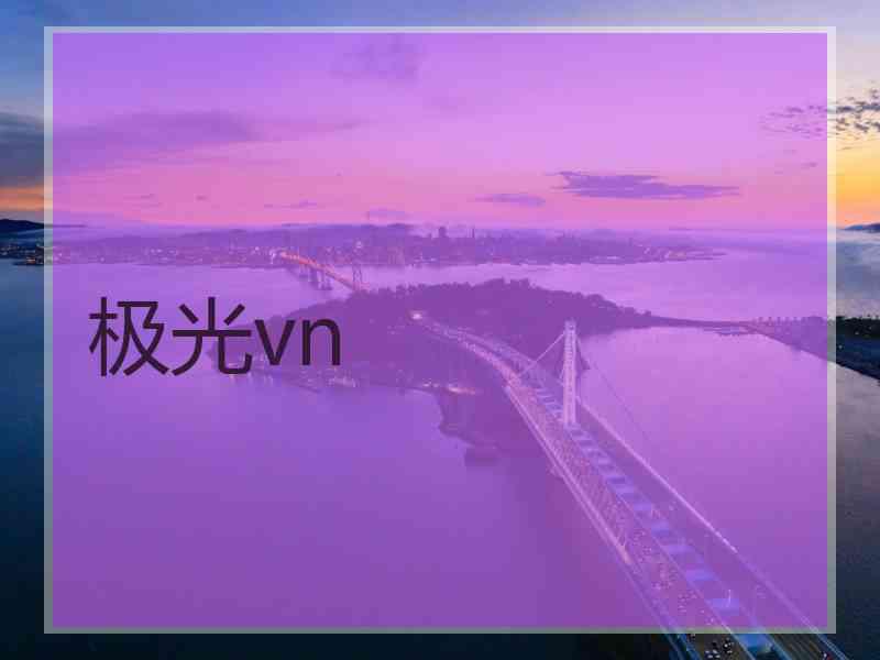 极光vn
