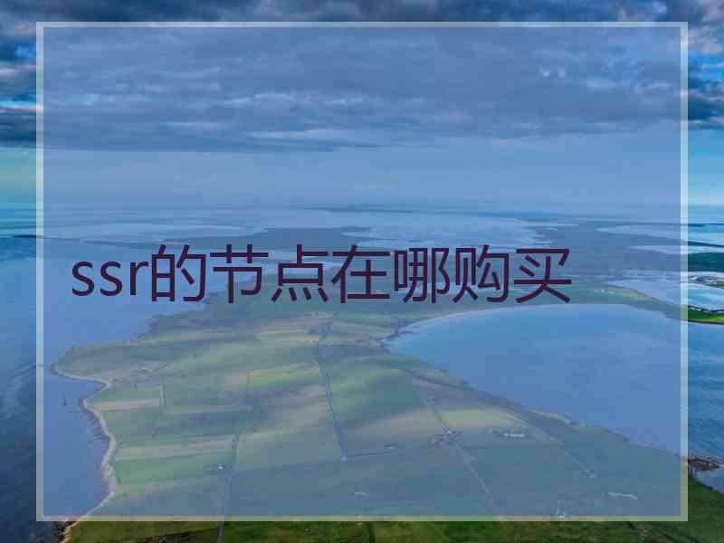 ssr的节点在哪购买