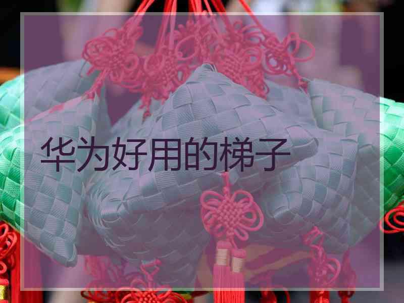 华为好用的梯子