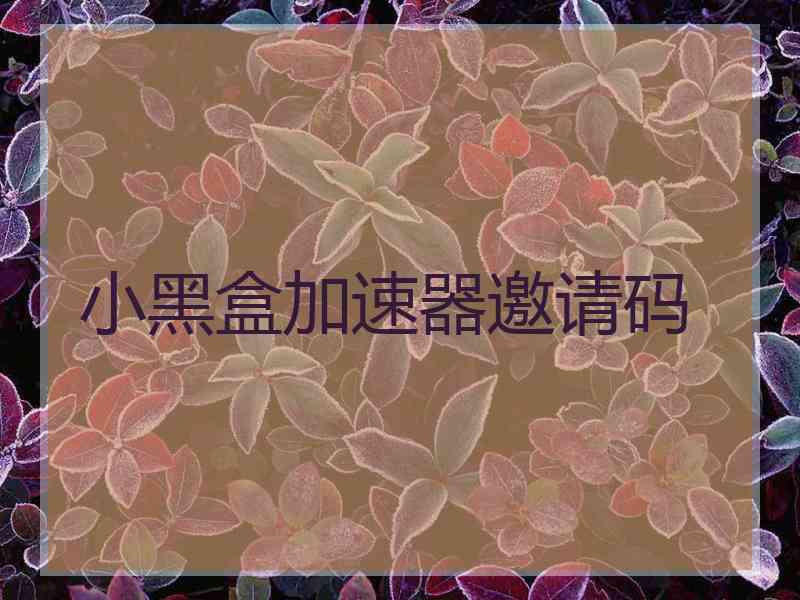 小黑盒加速器邀请码