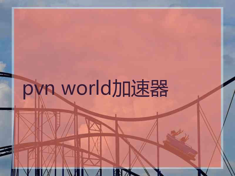 pvn world加速器