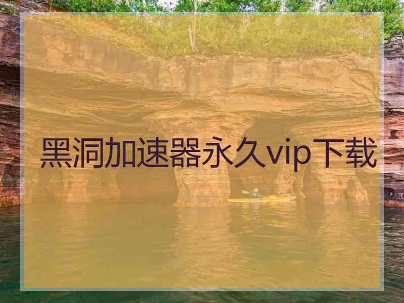 黑洞加速器永久vip下载
