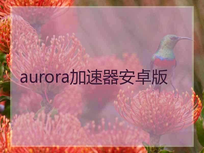 aurora加速器安卓版