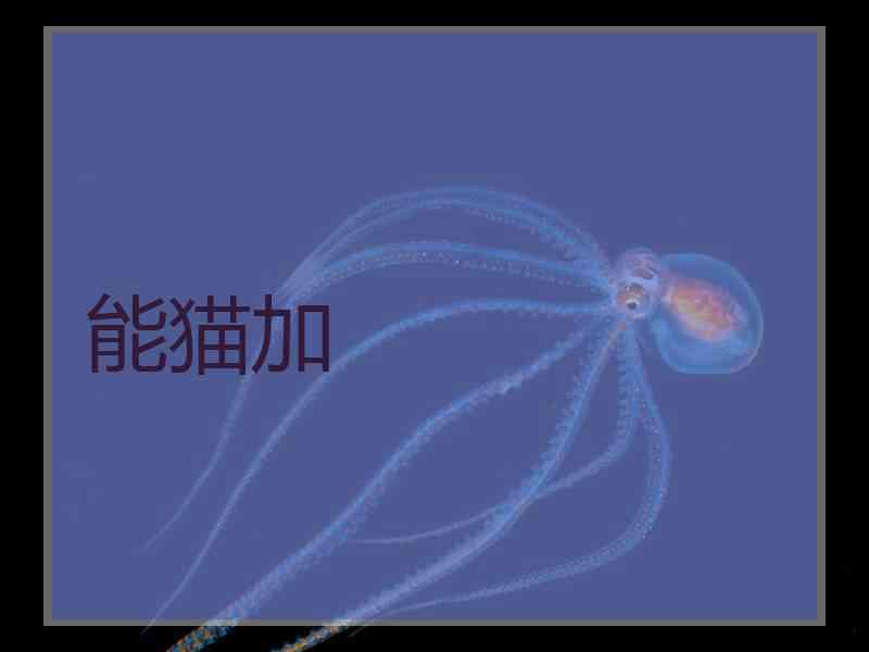 能猫加