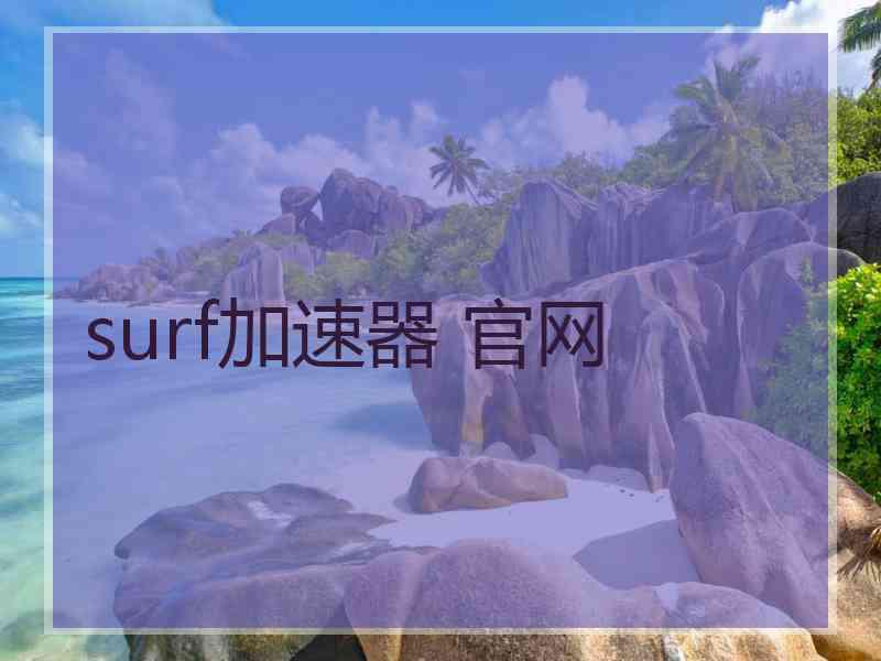 surf加速器 官网