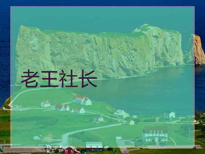 老王社长
