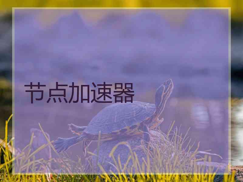 节点加速器