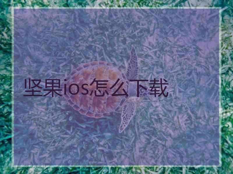 坚果ios怎么下载