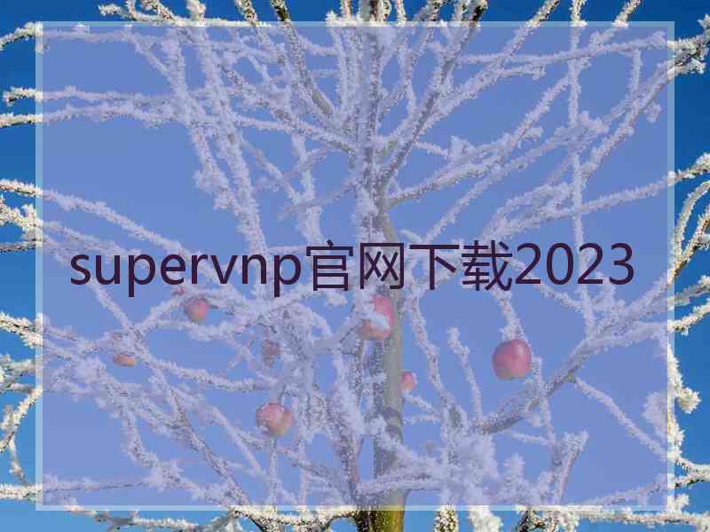 supervnp官网下载2023