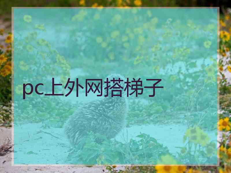 pc上外网搭梯子