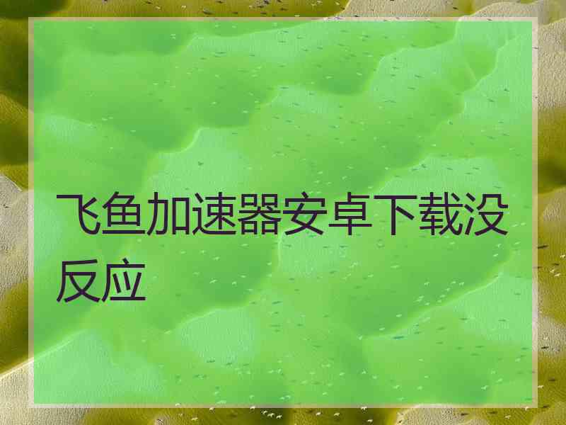 飞鱼加速器安卓下载没反应