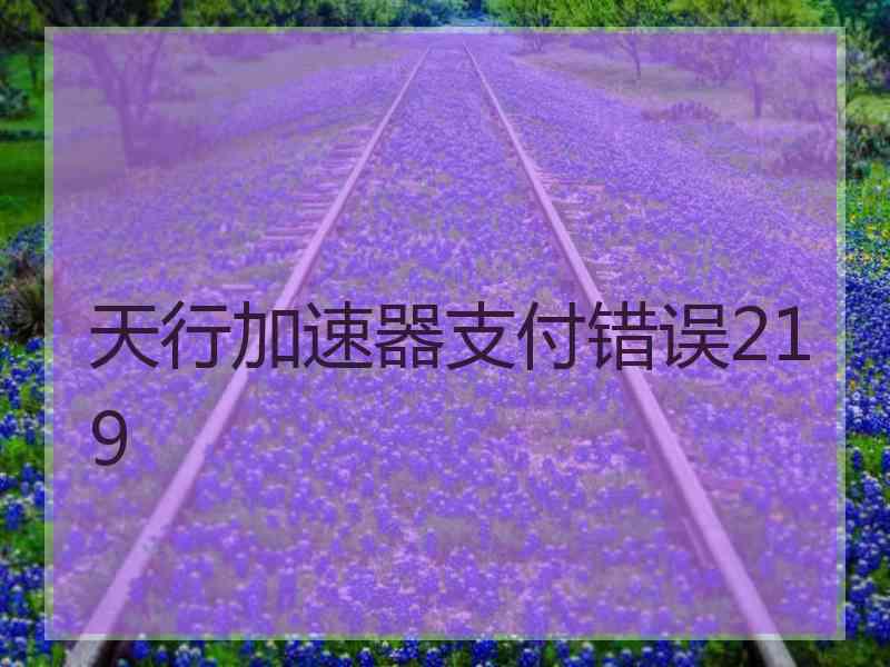 天行加速器支付错误219