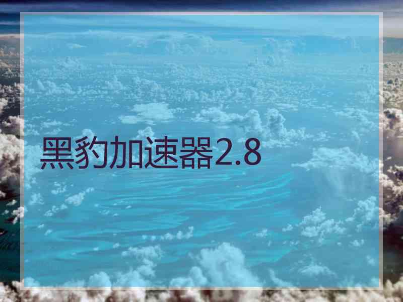 黑豹加速器2.8