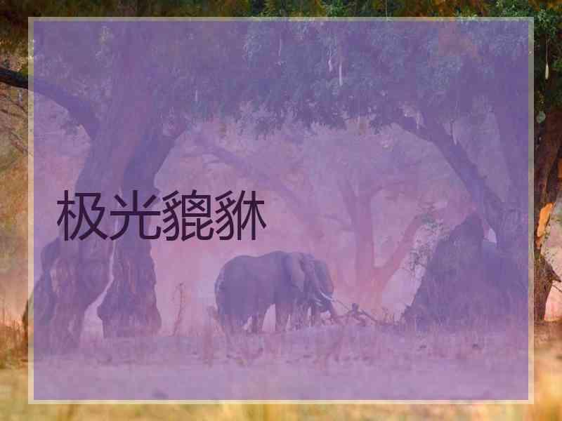 极光貔貅