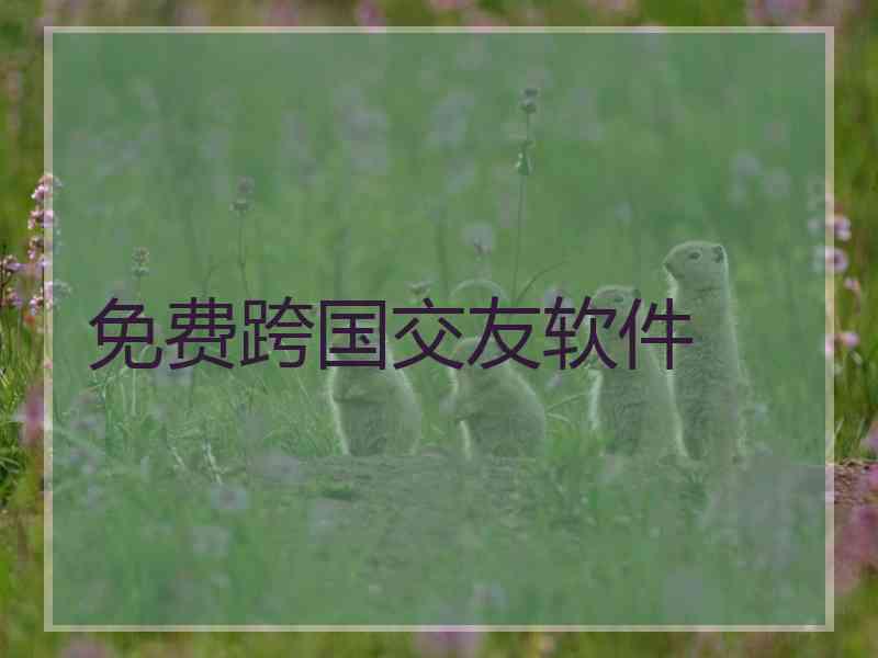 免费跨国交友软件