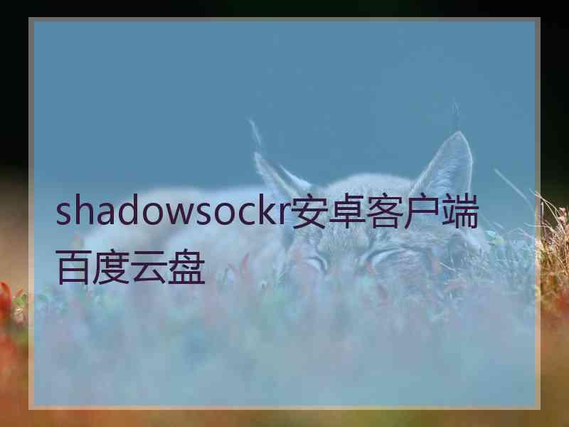 shadowsockr安卓客户端百度云盘