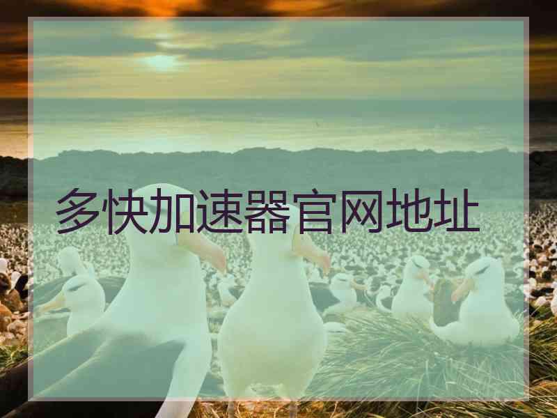 多快加速器官网地址
