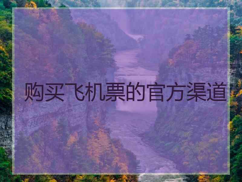 购买飞机票的官方渠道