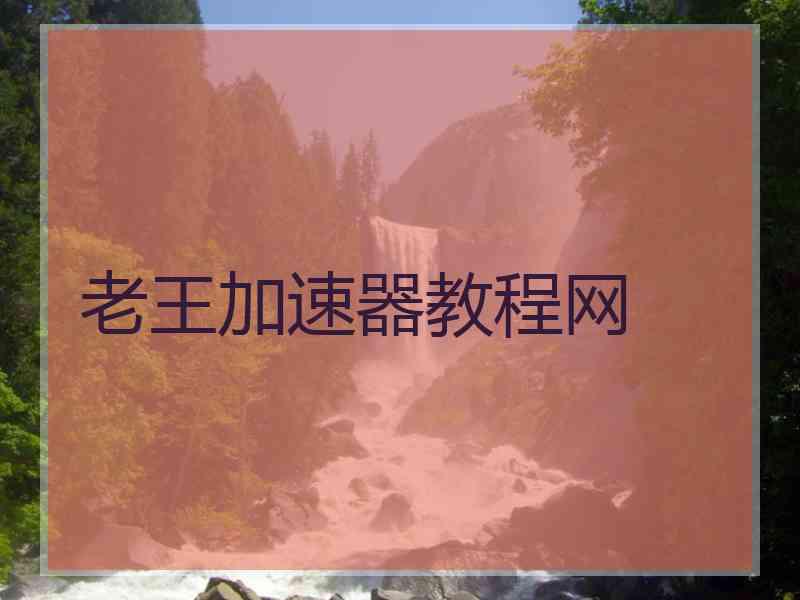 老王加速器教程网