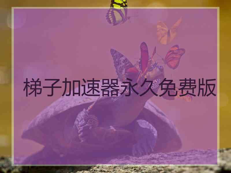 梯子加速器永久免费版