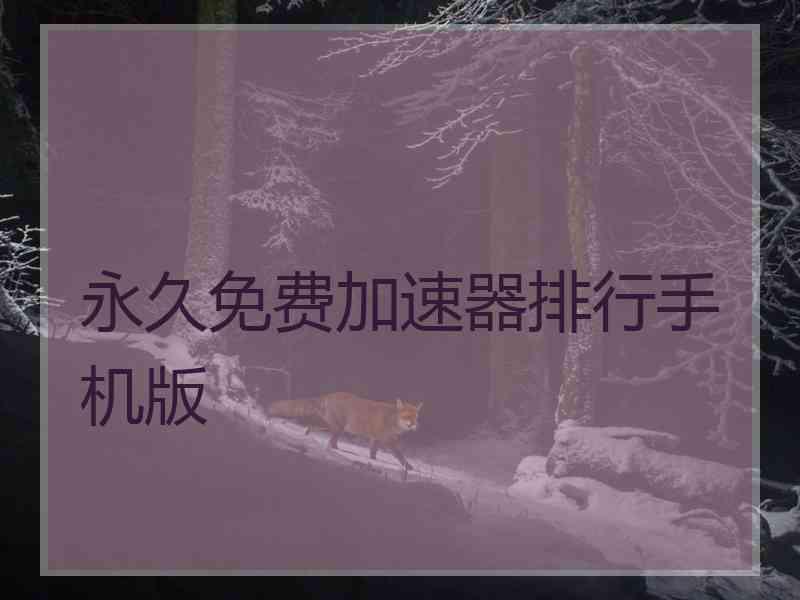 永久免费加速器排行手机版