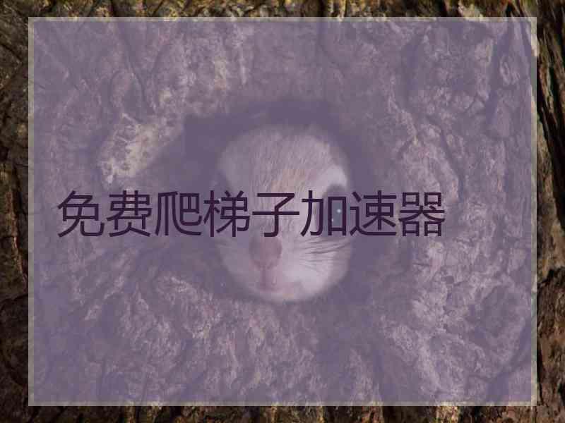 免费爬梯子加速器