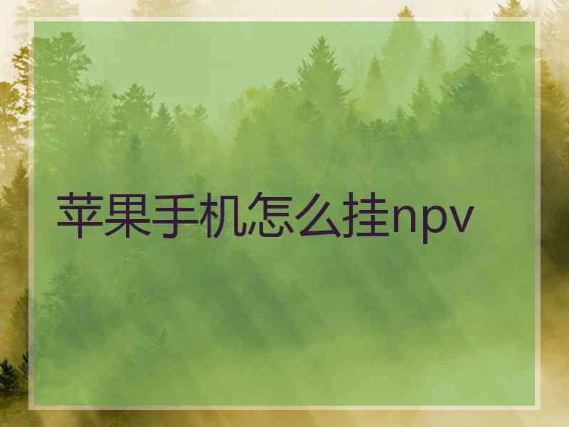 苹果手机怎么挂npv
