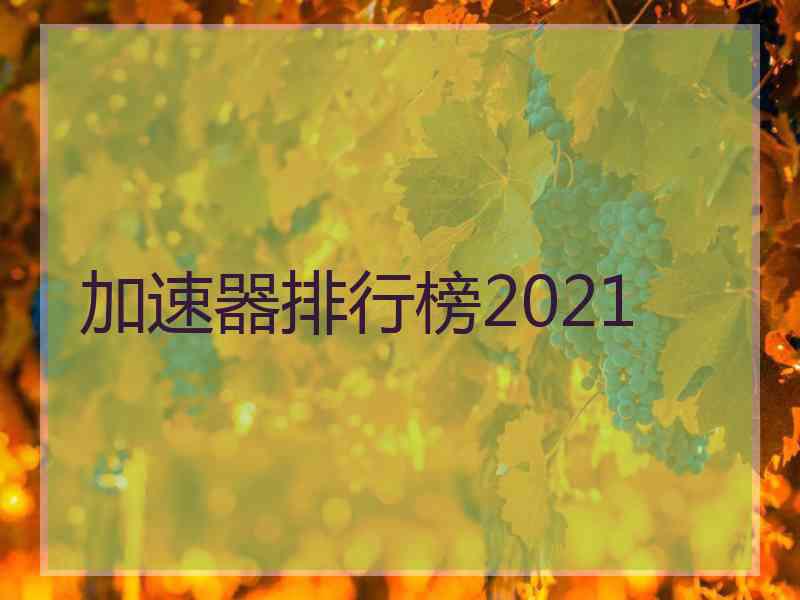 加速器排行榜2021