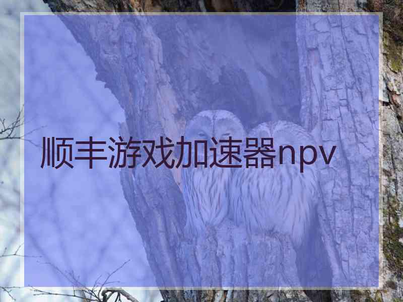 顺丰游戏加速器npv