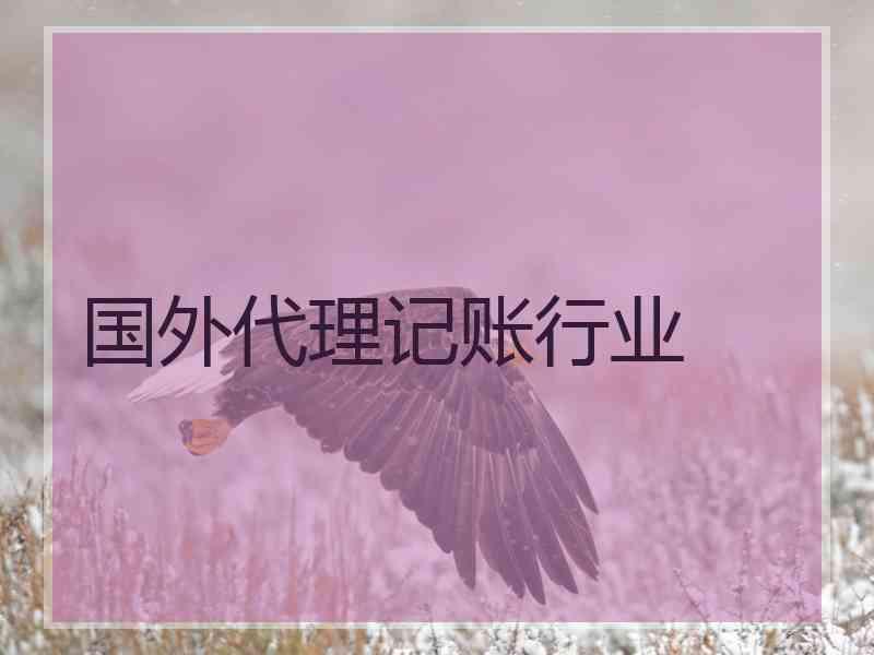 国外代理记账行业