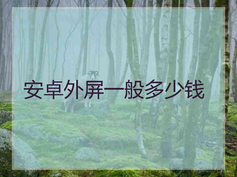 安卓外屏一般多少钱