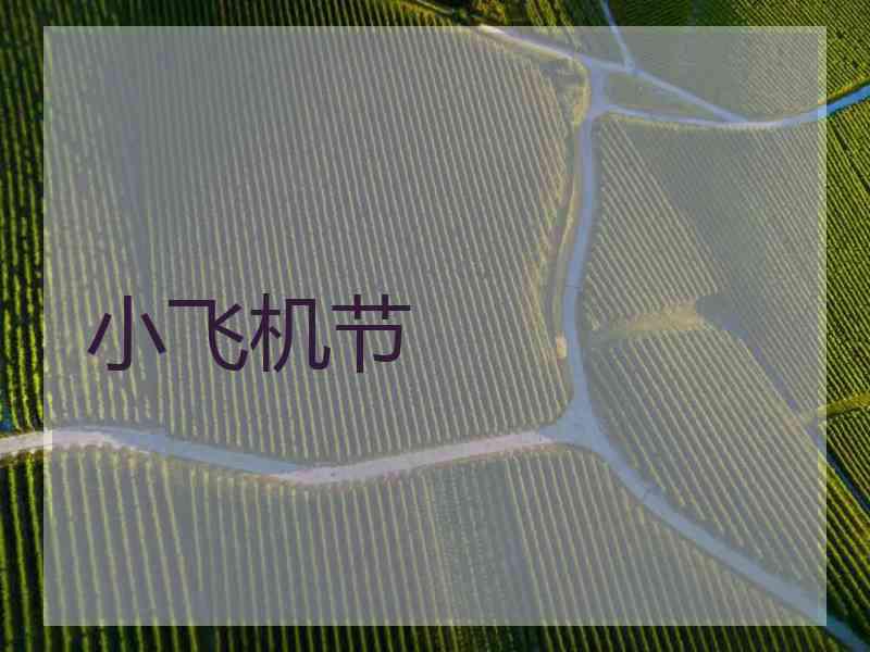 小飞机节