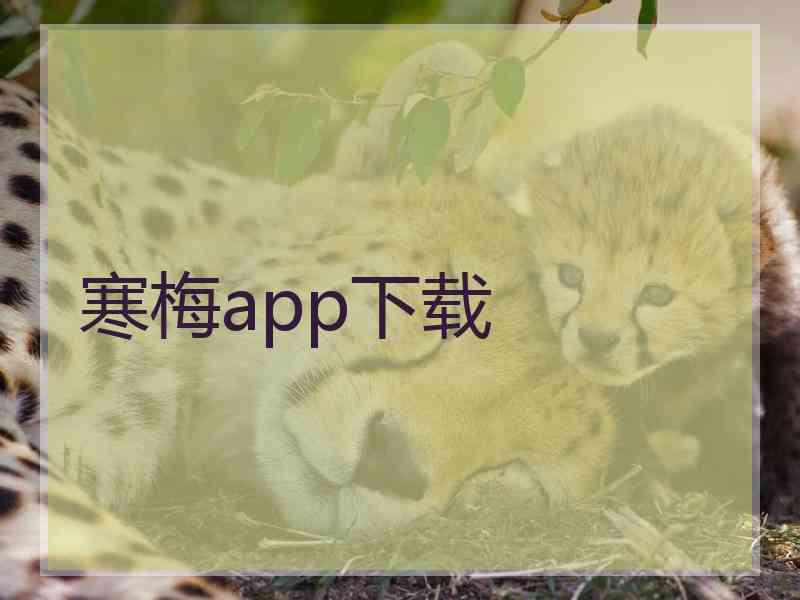 寒梅app下载