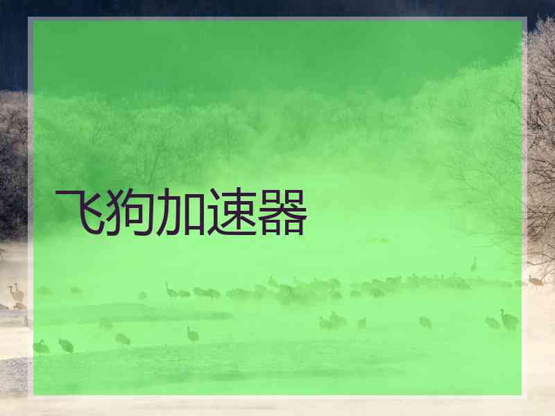 飞狗加速器