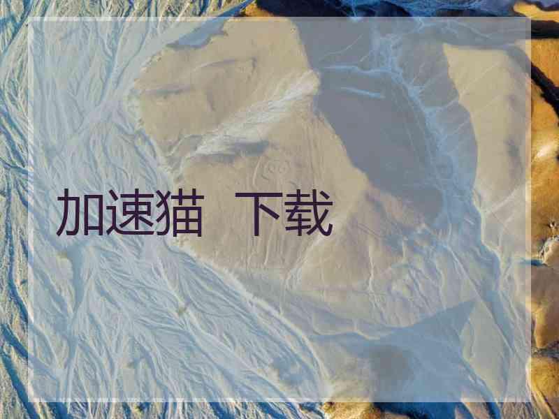 加速猫  下载