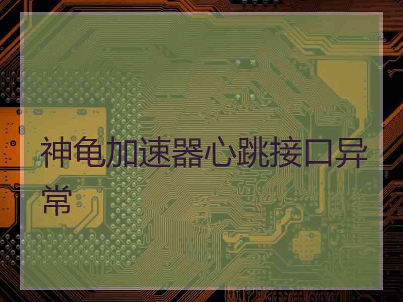 神龟加速器心跳接口异常