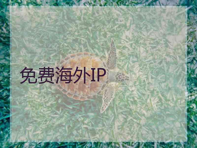 免费海外IP
