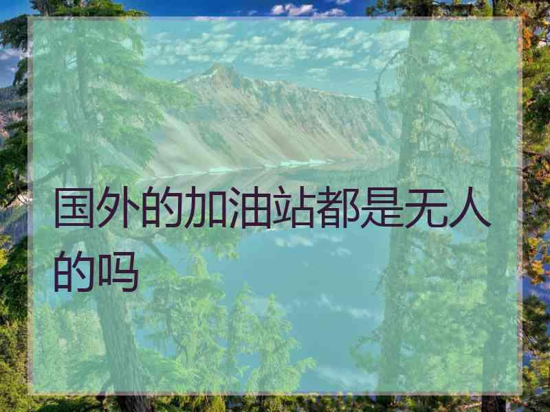 国外的加油站都是无人的吗