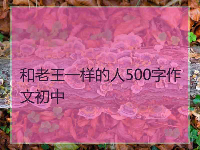 和老王一样的人500字作文初中
