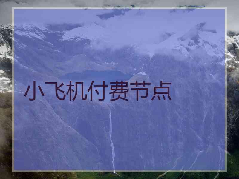 小飞机付费节点