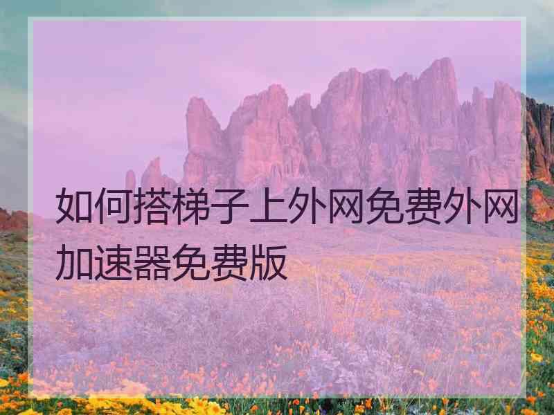 如何搭梯子上外网免费外网加速器免费版