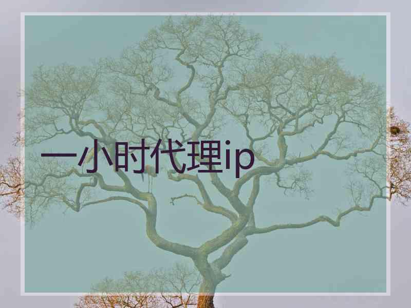 一小时代理ip