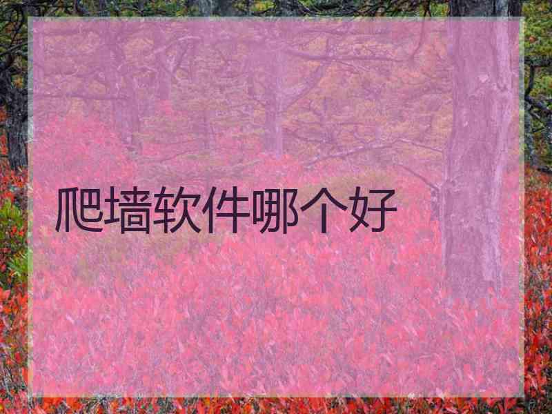 爬墙软件哪个好