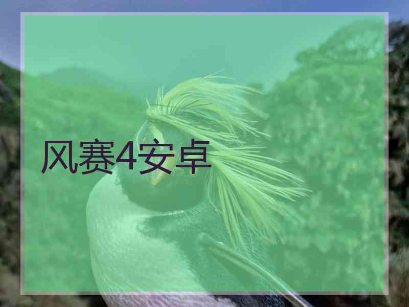 风赛4安卓